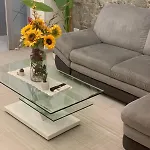 The Sunflower