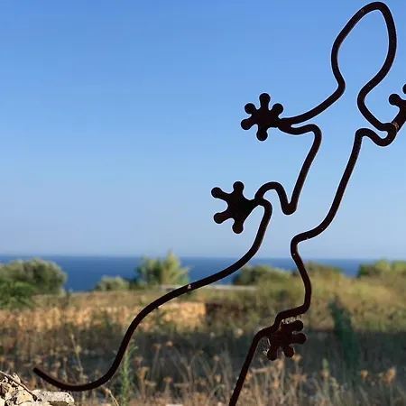 Nyaraló The Sunflower