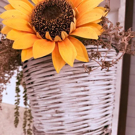 The Sunflower Nyaraló Lecce