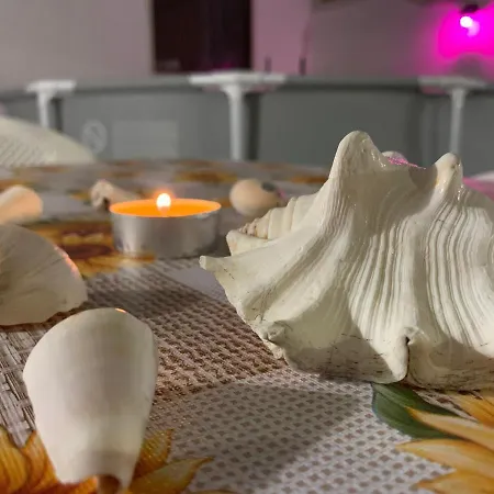 The Sunflower レッチェ