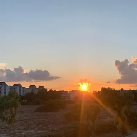 The Sunflower * レッチェ