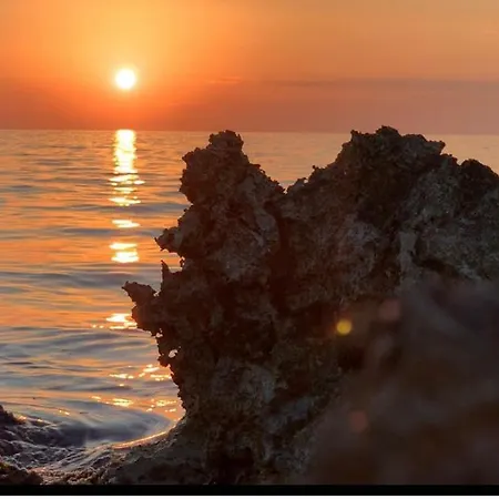 The Sunflower Λέτσε