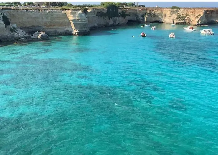 펜션 The Sunflower 레체