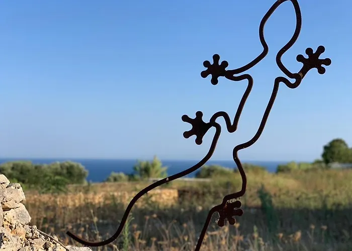 בית נופש The Sunflower