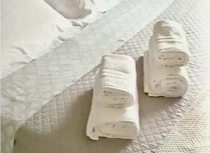 בית נופש The Sunflower לצ'ה