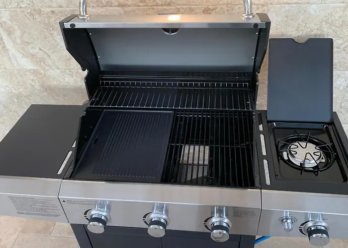 The Sunflower לצ'ה